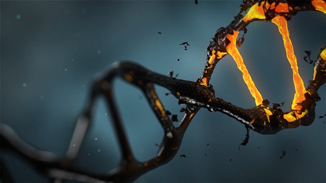 Turns Out Our Bodies May Be Putting Up Roadblocks to Gene-Editing