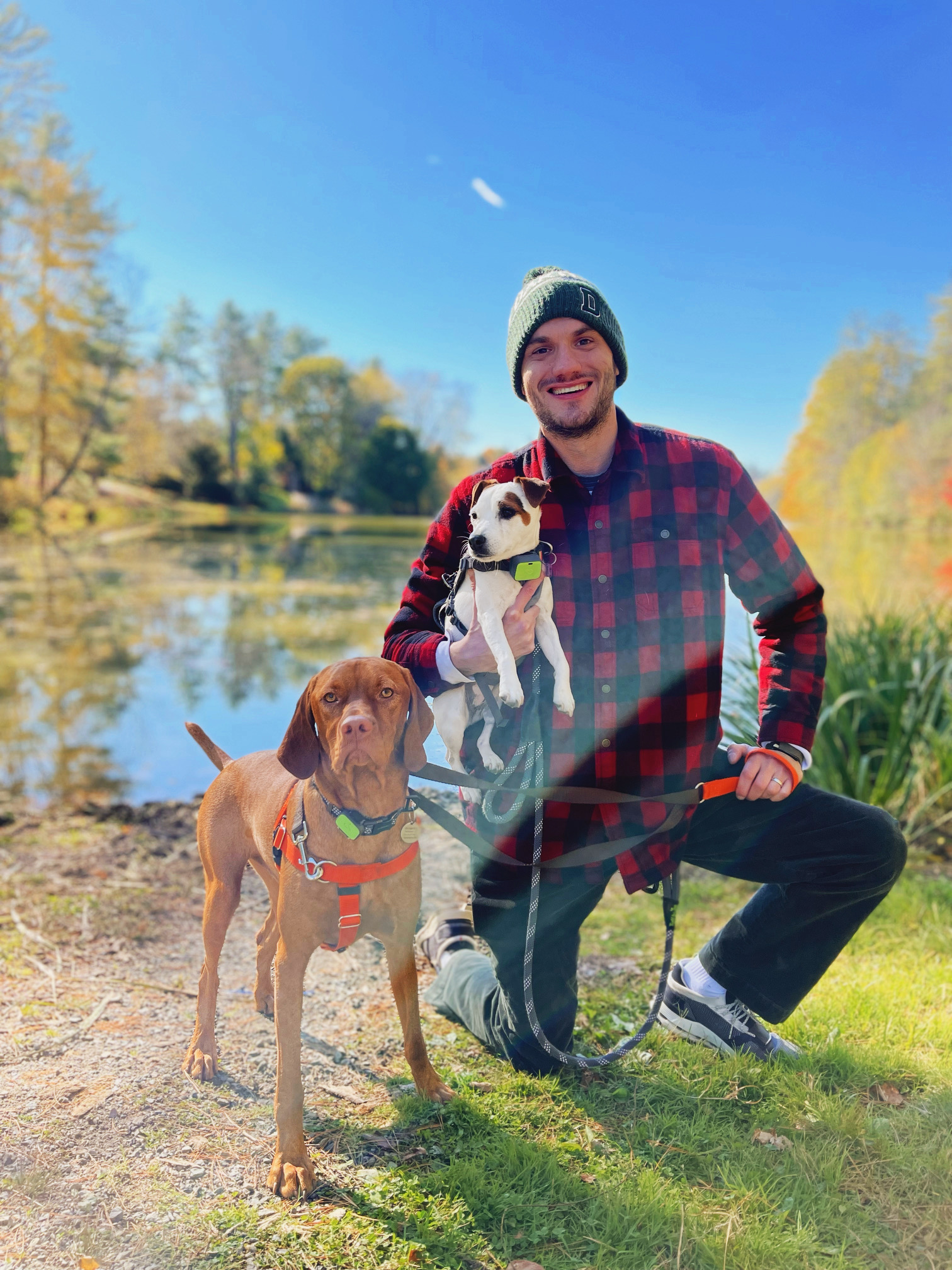 Gunnar and his dogs